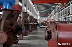 海口方平草本护肤产品有限公司被评为2019年度三水区骨干企业